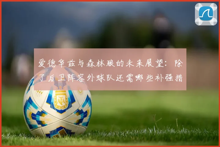 爱德华兹与森林狼的未来展望：除了后卫阵容外球队还需哪些补强措施