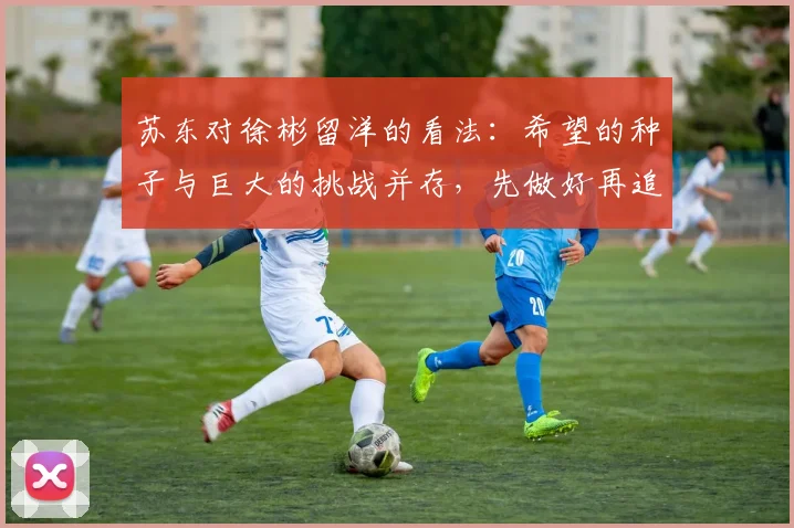苏东对徐彬留洋的看法：希望的种子与巨大的挑战并存，先做好再追求完美